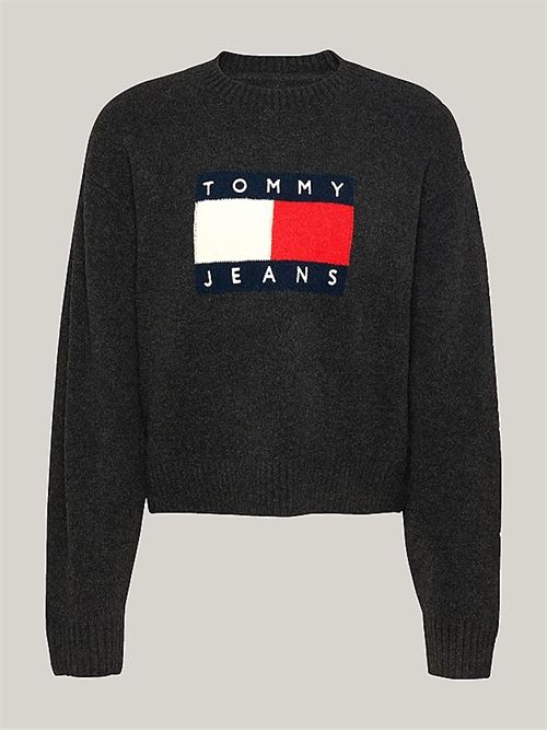  TOMMY JEANS | DW0DW18681/HEV